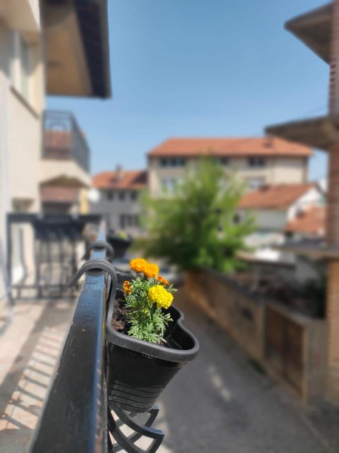 Moonlıght Hostel Priştine Dış mekan fotoğraf